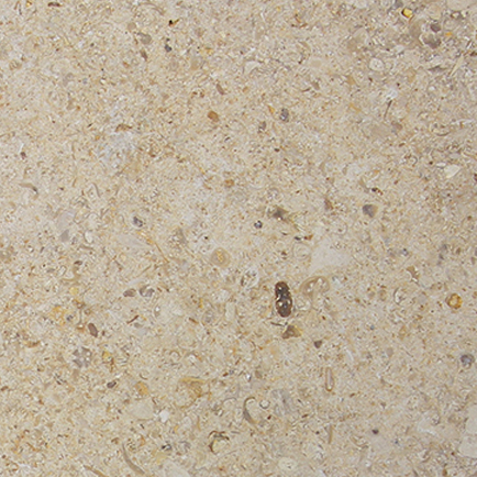 Shown on Cecina